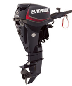 2017 Evinrude 25 HP E25DRGL E-Tec Outboard Motor