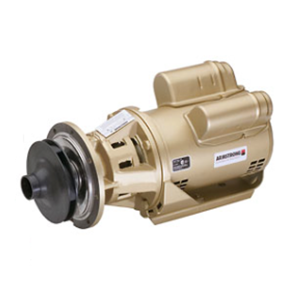 Armstrong 110108MF-677 Raypak 2 Boiler Header Pump
