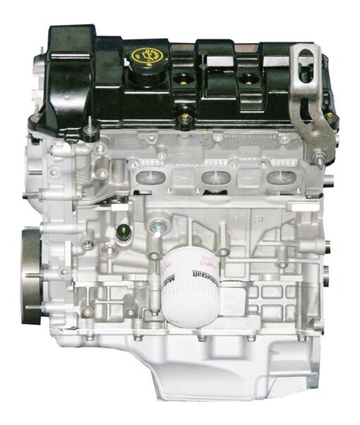 VEGE Remanufactured Long Block Crate Engines DFZ7 - Image 2